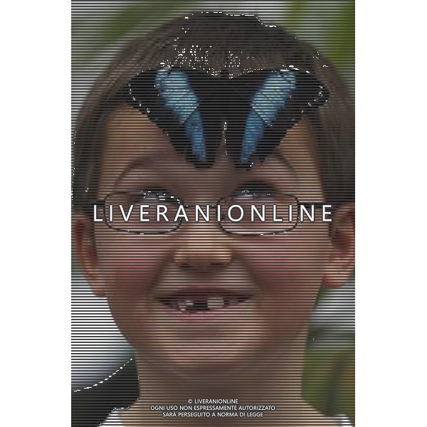 A butterfly lands on a boy face in the \'Sensational Butterflies\' exhibition at the Natural History Museum on 25 March, 2013 in London, Britain. The live, tropical butterfly house will be stationed on the Natural History Museum\'s east lawn from March 29, 2013 until September 15, 2013. ©Photoshot/AGENZIA ALDO LIVERANI SAS-ITALY ONLY - EDITORIAL USE ONLY