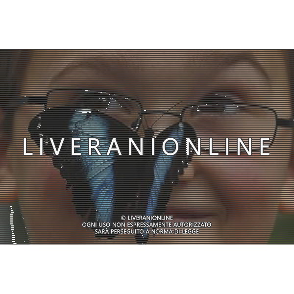 A butterfly lands on a boy face in the \'Sensational Butterflies\' exhibition at the Natural History Museum on 25 March, 2013 in London, Britain. The live, tropical butterfly house will be stationed on the Natural History Museum\'s east lawn from March 29, 2013 until September 15, 2013. ©Photoshot/AGENZIA ALDO LIVERANI SAS-ITALY ONLY - EDITORIAL USE ONLY