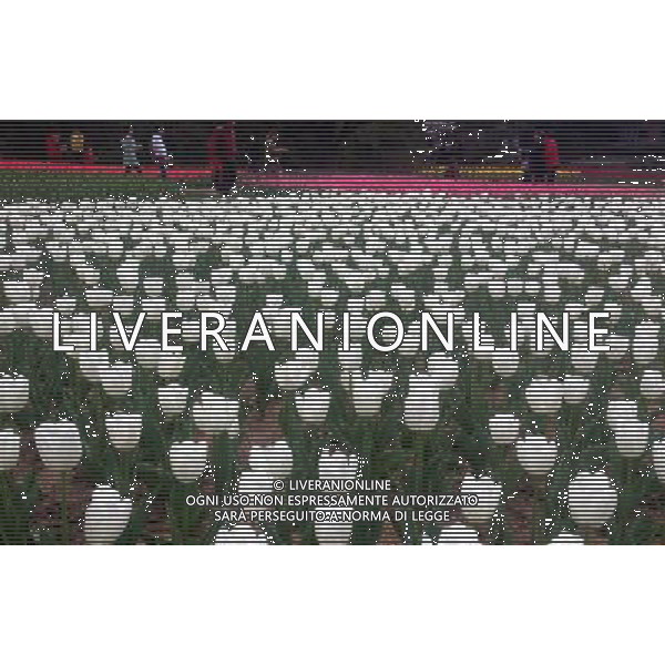 (130330) -- WUXI, March 30, 2013 () -- Visitors view tulip flowers in Wuxi City, east CHina\'s Jiangsu Province, March 30, 2013. (/Luo Jun) (ry) ©photoshot/AGENZIA ALDO LIVERANI SAS - ITALY ONLY - Fiori di Tulipani nella citta\' di Wuxi, Cina orientale nella provincia del Jiangsu, 30 marzo 2013.