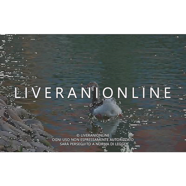 (130330) -- CHONGQING, March 30, 2013 () -- A waterfowl swims in the Three Gorges Reservoir in Yunyang County in southwest China\'s Chongqing, March 30, 2013. Improved environment near the reservoir has allowed superb conditions for birds to live. (/Chen Jianhua) (zc) ©photoshot/AGENZIA ALDO LIVERANI SAS - ITALY ONLY - Con lo scioglimento dei ghiacci molti uccelli migratori hanno cominciato a tornare nelle riserve in Cina nord-occidentale, 29 marzo 2013.