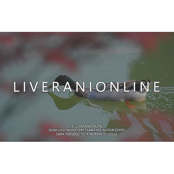 (130330) -- CHONGQING, March 30, 2013 () -- A waterfowl swims in the Three Gorges Reservoir in Yunyang County in southwest China\'s Chongqing, March 30, 2013. Improved environment near the reservoir has allowed superb conditions for birds to live. (/Chen Jianhua) (zc) ©photoshot/AGENZIA ALDO LIVERANI SAS - ITALY ONLY - Con lo scioglimento dei ghiacci molti uccelli migratori hanno cominciato a tornare nelle riserve in Cina nord-occidentale, 29 marzo 2013.