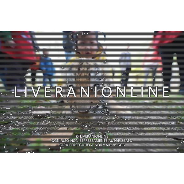 (130401) -- YANGZHOU, April 1, 2013 () -- A newly born tiger cub meets with tourists in the Zhuyuwan Zoo in Yangzhou, east China\'s Jiangsu Province, April 1, 2013. A pair of one-month-old tiger cub twins met with public on Monday for the first time since their birth. (/Meng Delong) (zn) ©photoshot/AGENZIA ALDO LIVERANI SAS - ITALY ONLY - Una coppia di cuccioli di tigre di un mese di eta\' allo zoo Zhuyuwan a Yangzhou, a est della Cina nella provincia del Jiangsu, 1 aprile 2013.
