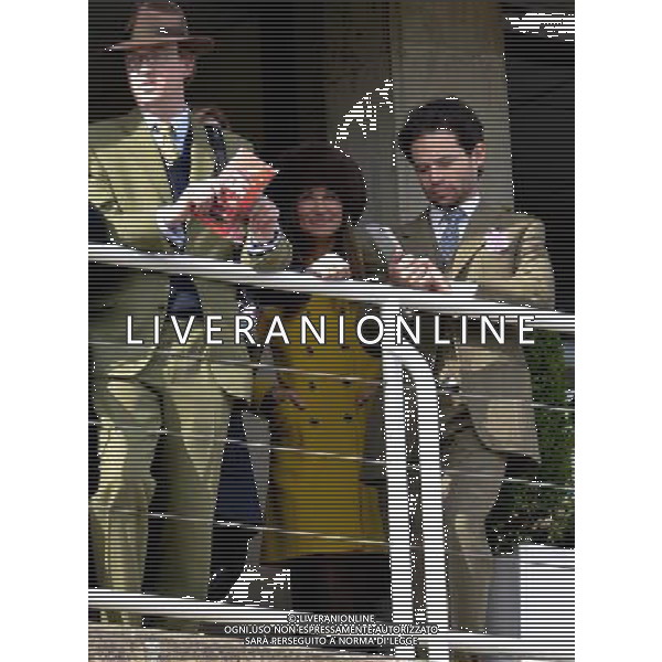  Pippa Middleton enjoys the races at Thursday\'s St Patrick\'s day, Cheltenham Gold Cup Festival, Cheltenham Racecourse, Glos Date 14/03/2013 /AGENZIA ALDO LIVERANI SAS/ITALY ONLY - EDITORIAL USE ONLY