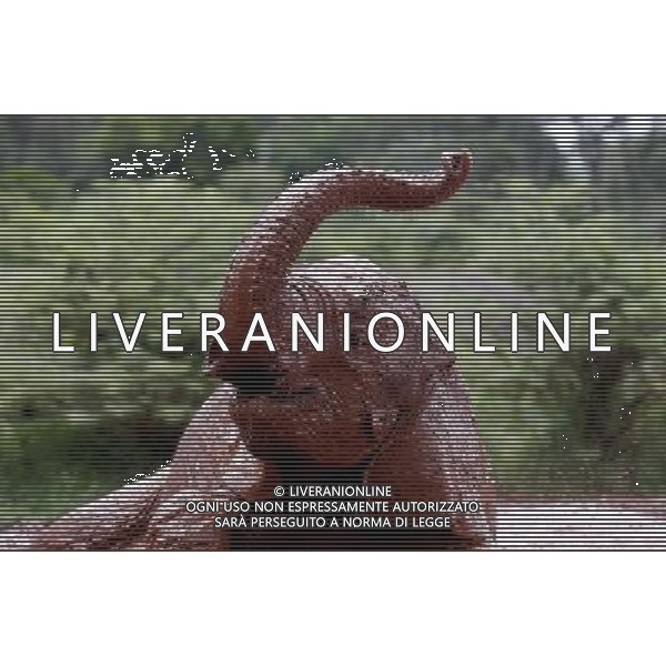 (130407) -- NAIROBI, April 7, 2013 () -- An elephant calf plays in mud puddle at the Sheldrick Elephant Orphanage in Nairobi, capital of Kenya, April 7, 2013. Elephant calves orphanned by poaching are brought to the orphanage from all over the country. They receive extremely specialized treatment here, and literally receive personal care 24 hours a day from highly dedicated staff who become surrogate mothers to the calves. According to statistics of Kenya Wildlife Service, elephant population in the country is estimated at 37,000. (/Zhang Chen) ©Photoshot/AGENZIA ALDO LIVERANI SAS-ITALY ONLY - EDITORIAL USE ONLY