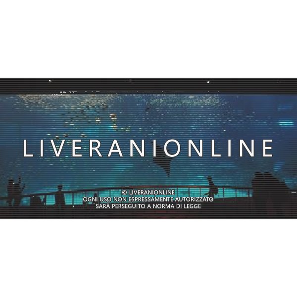 (130409) -- SINGAPORE, April 10, 2013 () -- People visit the Resorts World Sentosa\'s S.E.A Aquarium in Singapore, April 9, 2013. The aquarium, is the official record holder of the two Guinness World Records - for the world\'s largest aquarium and for the world\'s largest acrylic panel in its Ocean Gallery, according to the announcement of the Resorts World Sentosa. (/Then Chih Wey) (dzl) ©Photoshot/AGENZIA ALDO LIVERANI SAS-ITALY ONLY - EDITORIAL USE ONLY