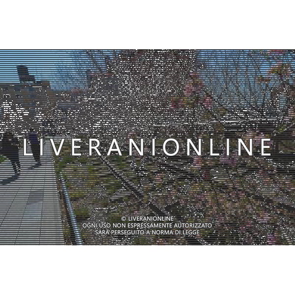 (130409) -- NEW YORK, April 9, 2013 () -- People enjoy a spring day at the High Line Park in New York City on April 9, 2013. The High Line is a public park built on a 1.45-mile-long historic freight rail line elevated above the streets on Manhattan\'s West Side. (/Niu Xiaolei) ©photoshot/AGENZIA ALDO LIVERANI SAS - ITALY ONLY - Le persone si godono un giorno di primavera al Parco pubblico High Line costruito su 1,45 miglia di linea ferroviaria storica elevato sopra le strade di West Side di Manhattan a New York il 9 aprile 2013