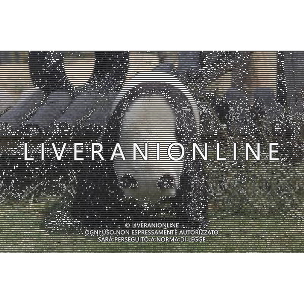 (130413) -- YANTAI, April 13, 2013 () -- Photo taken on April 13, 2013 shows the panda named \'Qing Feng\' at Yantai Zoo in Yantai City, east China\'s Shandong Province. The zoo splashed water for the two pandas\'Qing Feng\' and \'Hua Ao\' to keep them cool as the highest temperature in Yantai City reached 29 Celsius degree Saturday. (/Shen Jizhong) (yxb) ©photosdhot/AGENZIA ALDO LIVERANI SAS - ITALY ONLY - Un orso panda allo zoo di Yantai, Cina orientale di Shandong Province.
