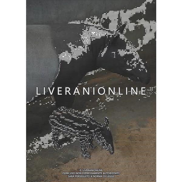 (130416) -- JAKARTA, April 16, 2013 () -- A young Tapir stands next to his mother in their enclosure at the Taman Safari zoo in Cisarua, West Java, April 16, 2013. The baby Tapir was born in early April at the zoo.(/Zulkarnain) ©photoshot/AGENZIA ALDO LIVERANI SAS - ITALY ONLY - Un cucciolo di tapiro sta accanto a sua madre nel Taman Safari zoo di Cisarua, Jakarta, 16 aprile, 2013.