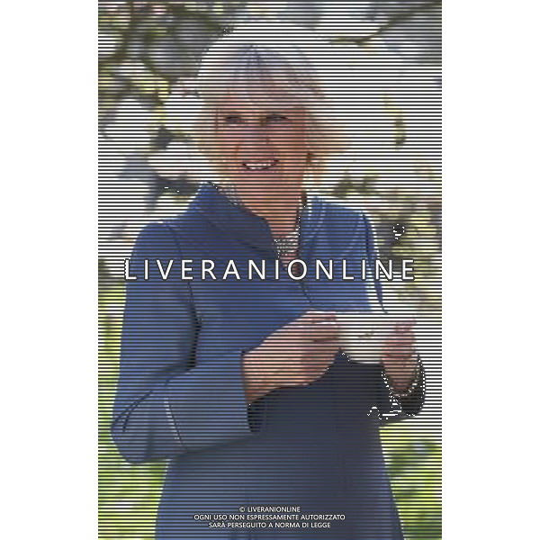 LONDON, ENGLAND - APRIL 23: Camilla, Duchess of Cornwall drinks a cup of tea in Clarence House garden as she hosts a tea party to celebrate the 5th Anniversary of the charity \'First Story\' on April 23, 2013 in London, England. First Story strives to support and inspire creativity in challenging UK secondary schools and their communities. The charity was launched in 2008 by former school teacher Katie Waldegrave. ©PHOTOSHOT/AGENZIA ALDO LIVERANI SAS - ITALY ONLY - REALI INGLESI: Camilla Duchessa di Cornovaglia, Patrono di The Big Lunch, ha presentato il grande pranzo Community Awards