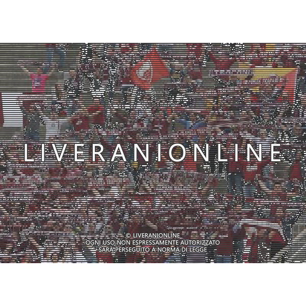 BERGAMO 30 APRILE 2013 , NELLA FOTO tifosi trapani ,ph.moro/ALDO LIVERANI ALBINOLEFFE - TRAPANI CAMPIONATO LEGA PRO 28/04/2013 ©/AGENZIA ALDO LIVERANI SAS