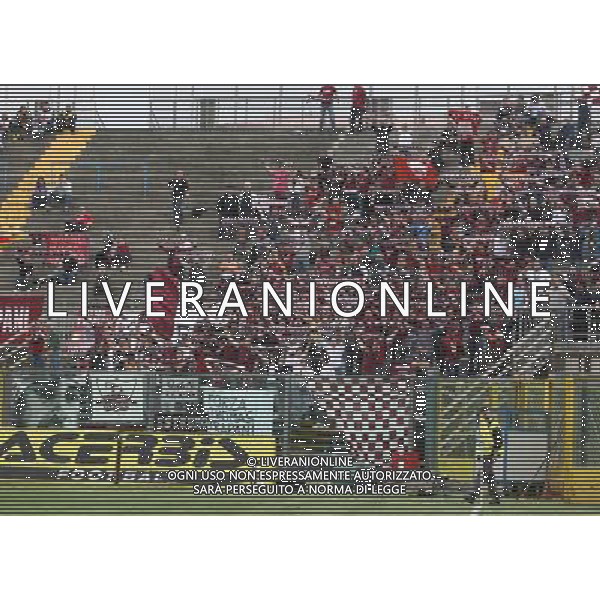 BERGAMO 30 APRILE 2013 , NELLA FOTO tifosi trapani ,ph.moro/ALDO LIVERANI ALBINOLEFFE - TRAPANI CAMPIONATO LEGA PRO 28/04/2013 ©/AGENZIA ALDO LIVERANI SAS