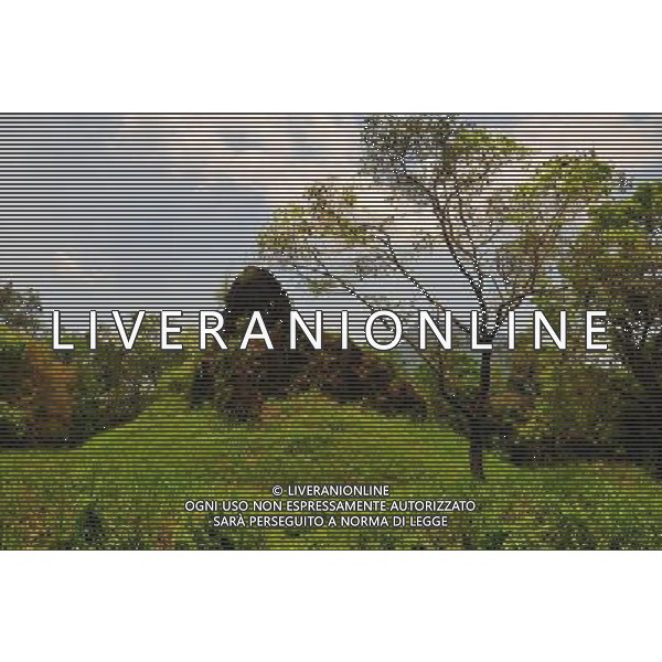 (130429) -- MY SON (VIETNAM), April 29, 2013 () -- Relics of My Son Sanctuary, which was badly wrecked during last century\'s Vietnam War, is seen in central Vietnam, on April 29, 2013. Between the 4th and 13th centuries, a unique culture which owed its spiritual origins to Indian Hinduism developed on the coast of contemporary Vietnam. It was graphically illustrated by the remains of a series of impressive tower-temples located in My Son that was the religious and political capital of the Champa Kingdom for most of its existence. My Son Sanctuary was inscripted in UNESCO\'s World Cultural Heritage list in 1999. (/Zhang Jianhua) (lr) Â©Photoshot/Ag. Aldo Liverani s.a.s.-Only Italy-Editorial Use Only