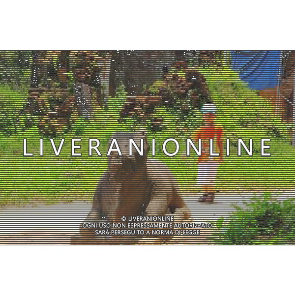 (130429) -- MY SON (VIETNAM), April 29, 2013 () -- Relics of My Son Sanctuary, which was badly wrecked during last century\'s Vietnam War, is seen in central Vietnam, on April 29, 2013. Between the 4th and 13th centuries, a unique culture which owed its spiritual origins to Indian Hinduism developed on the coast of contemporary Vietnam. It was graphically illustrated by the remains of a series of impressive tower-temples located in My Son that was the religious and political capital of the Champa Kingdom for most of its existence. My Son Sanctuary was inscripted in UNESCO\'s World Cultural Heritage list in 1999. (/Zhang Jianhua) (lr) Â©Photoshot/Ag. Aldo Liverani s.a.s.-Only Italy-Editorial Use Only