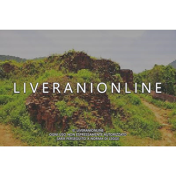 (130429) -- MY SON (VIETNAM), April 29, 2013 () -- Relics of My Son Sanctuary, which was badly wrecked during last century\'s Vietnam War, is seen in central Vietnam, on April 29, 2013. Between the 4th and 13th centuries, a unique culture which owed its spiritual origins to Indian Hinduism developed on the coast of contemporary Vietnam. It was graphically illustrated by the remains of a series of impressive tower-temples located in My Son that was the religious and political capital of the Champa Kingdom for most of its existence. My Son Sanctuary was inscripted in UNESCO\'s World Cultural Heritage list in 1999. (/Zhang Jianhua) (lr) Â©Photoshot/Ag. Aldo Liverani s.a.s.-Only Italy-Editorial Use Only