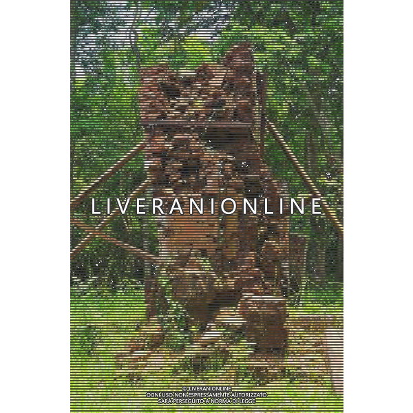 (130429) -- MY SON (VIETNAM), April 29, 2013 () -- Reinforced structures in My Son Sanctuary, which was badly wrecked during last century\'s Vietnam War, are seen in central Vietnam, on April 29, 2013. Between the 4th and 13th centuries, a unique culture which owed its spiritual origins to Indian Hinduism developed on the coast of contemporary Vietnam. It was graphically illustrated by the remains of a series of impressive tower-temples located in My Son that was the religious and political capital of the Champa Kingdom for most of its existence. My Son Sanctuary was inscripted in UNESCO\'s World Cultural Heritage list in 1999. (/Zhang Jianhua) (lr) Â©Photoshot/Ag. Aldo Liverani s.a.s.-Only Italy-Editorial Use Only