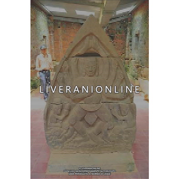 (130429) -- MY SON (VIETNAM), April 29, 2013 () -- A piece of stonework exhibited in the relics of My Son Sanctuary is seen in central Vietnam, on April 29, 2013. Between the 4th and 13th centuries, a unique culture which owed its spiritual origins to Indian Hinduism developed on the coast of contemporary Vietnam. It was graphically illustrated by the remains of a series of impressive tower-temples located in My Son that was the religious and political capital of the Champa Kingdom for most of its existence. My Son Sanctuary was inscripted in UNESCO\'s World Cultural Heritage list in 1999. (/Zhang Jianhua) (lr) Â©Photoshot/Ag. Aldo Liverani s.a.s.-Only Italy-Editorial Use Only