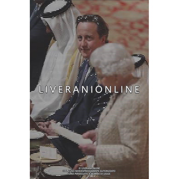 WINDSOR, ENGLAND - APRIL 30: British Prime Minister David Cameron listens to Queen Elizabeth II deliver a speech at a State Luncheon for The President of the United Arab Emirates, His Highness Sheikh Khalifa bin Zayed Al Nahyan, in Windsor Castle on April 30, 2013 in Windsor, England. The President of the United Arab Emirates is paying a two-day State Visit to the United Kingdom, staying in Windsor Castle as the guest of Her Majesty The Queen from April 30, 2013 to May 1, 2013. Sheikh Khalifa will meet the British Prime Minister David Cameron tomorrow at his Downing Street residence. ©photoshot/AGENZIA ALDO LIVERANI SAS - ITALY ONLY - Il presidente degli Emirati Arabi Uniti Sua Altezza lo Sceicco Khalifa bin Zayed Al Nahyan incontra la regina Elisabetta II d\'inghilterra e del Principe Filippo a Windsor, durante una visita di Stato nel Regno Unito 30 aprile 2013
