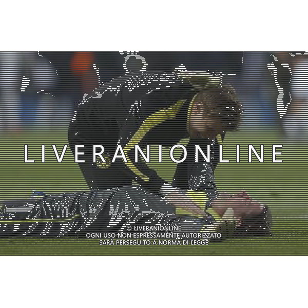 Borussia Dortmund\'s Weidenfeller during Champions League match on april 30th 2013. Photo: Cesar Cebolla / ALFAQUI AG ALDO LIVERANI S A S ONLY ITALY