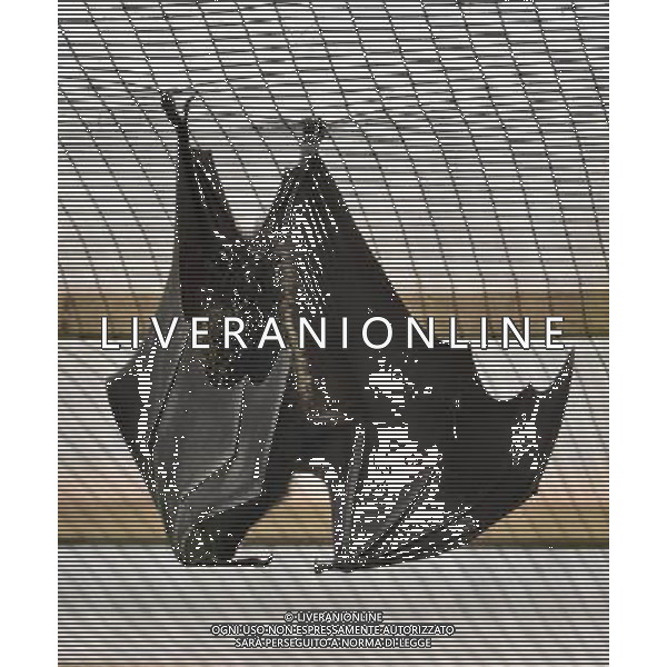  Fruit Bats at at Durrell Wildlife Conservation Park, Jersey, Channel Islands Date 30/04/2013 ©Photoshot/Ag. Aldo Liverani s.a.s.-Only Italy-Editorial Use Only