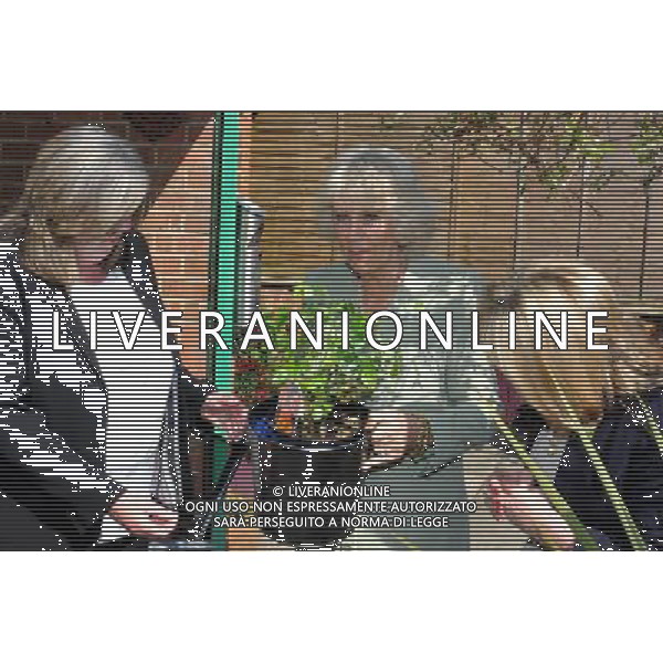 The Duchess of Cornwall, President of Barnardo\'s visited the Barnardo\'s Service for Sexually Exploited Children on the Streets (SECOS) in Middlesbrough. She presents a rose bush to Wendy Shepherd (left) and Anne Marie Carrie (right) 2/5/13 ©photoshot/AGENZIA ALDO LIVERANI SAS - ITALY ONLY - REALI INGLESI: Camilla Duchessa di Cornovaglia in visita il Servizio del Barnardo per i bambini sfruttati a scopo sessuale per le strade (SECOS) a Middlesbrough 2 maggio 2013