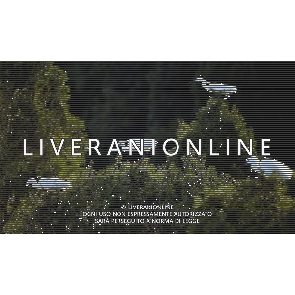 (130505) -- QINHUANGDAO, May 5, 2013 () -- White egrets are seen at the Tianmahu scenic resort in Qinhuangdao City of north China\'s Hebei Province, May 5, 2013. (/Yang Shiyao) (xzj) ©Photoshot/AGENZIA ALDO LIVERANI SAS-.ITALY ONLY - EDITORIAL USE ONLY