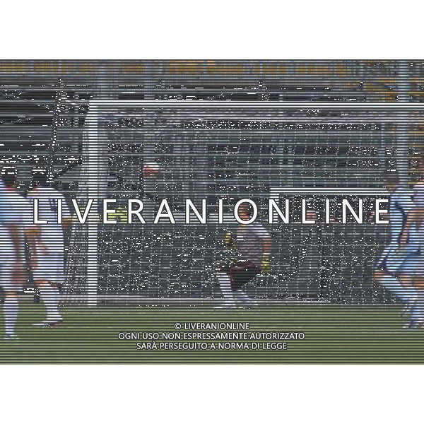 BERGAMO 12 maggio 2013 , NELLA FOTO gol masimiliano pesenti ,ph.moro/ALDO LIVERANI AG ALDO LIVERANI S A S 