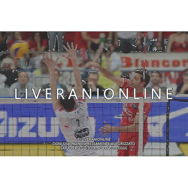 TRENTO 12/05/2013 68Â° CAMPIONATO ITALIANO DI PALLAVOLO MASCHILE SERIE A 1 FINALE-GARA 5 ITAS-PIACENZA NELLA FOTO:PAPI SAMUELE FOTO PAOLA GARBUIO/AG.ALDO LIVERANI