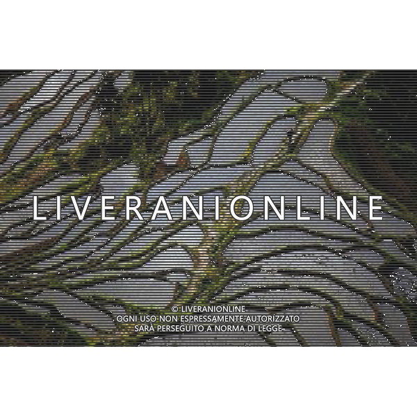 (130520) -- LOUDI, May 20, 2013 () -- Photo taken on May 19, 2013 shows the terraced fields at the County of Loudi City, central China\'s Hunan Province. (/Liu Aicheng) (ry) ©Photoshot/Ag. Aldo Liverani s.a.s.-Only Italy-Editorial Use Only
