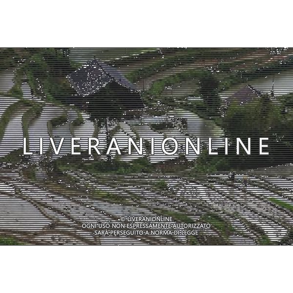 (130520) -- LOUDI, May 20, 2013 () -- Farmers work at the terraced fields at the County of Loudi City, central China\'s Hunan Province, May 19, 2013. (/Liu Aicheng) (ry) ©Photoshot/Ag. Aldo Liverani s.a.s.-Only Italy-Editorial Use Only