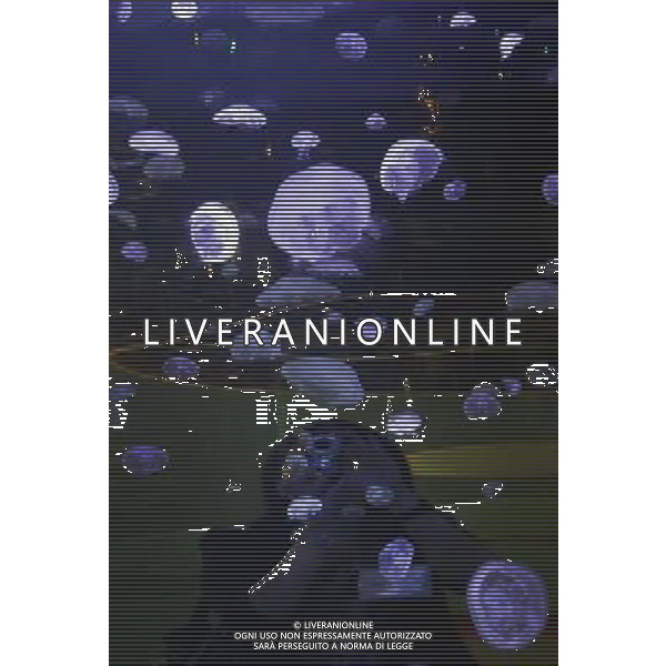 (130517) -- VANCOUVER, May 17, 2013 () -- A visitor takes photos of jellyfish in a large tank at the Vancouver Aquarium in Vancouver, Canada, May 16, 2013. Thousands of jellyfish from 15 species are on display at a new jellyfish exhibition at Vancouver Aquarium. Visitors can learn about the boneless, brainless and heartless animals from how they reproduce to how dangerous they can be to people and fishery. (/Liang Sen) ©Photoshot/Ag. Aldo Liverani s.a.s.-Only Italy-Editorial Use Only