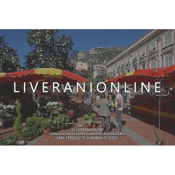 Monaco atmosphere. 20.05.2013. Formula 1 World Championship, Rd 6, Monaco Grand Prix, Monte Carlo, Monaco, Monday - www.xpbimages.com, EMail: requests@xpbimages.com - copy of publication required for printed pictures. Every used picture is fee-liable. © Copyright: Schaber / XPB Images AG ALDO LIVERANI S A S ONLY ITALY