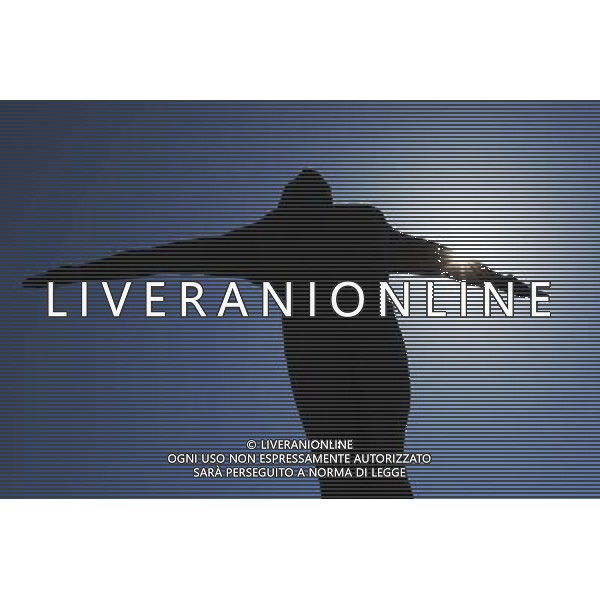 A statue. 22.05.2013. Formula 1 World Championship, Rd 6, Monaco Grand Prix, Monte Carlo, Monaco, Preparation Day. - www.xpbimages.com, EMail: requests@xpbimages.com - copy of publication required for printed pictures. Every used picture is fee-liable. © Copyright: Moy / XPB Images AG ALDO LIVERANI S A S ONLY ITALY