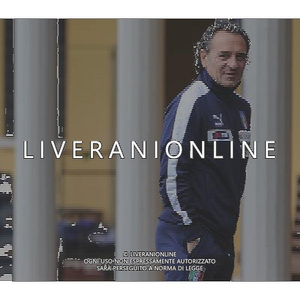 Raduno Nazionale Italiana Firenze - 29.05.2013 Allenamento Nella Foto:prandelli cesare /Ph.Vitez-Ag. Aldo Liverani