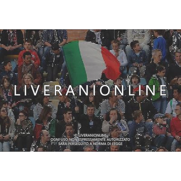 Gara Amichevole Bologna - 31.05.2013 Italia-San Marino Nella Foto:Tifoso Italia /Ph.Vitez-Ag. Aldo Liverani