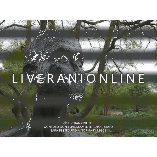 Acolyte of The Dawn by Angie Doy - Art In The Garden 2013 at The Sir Harold Hillier Gardens Romsey Hampshire England ©Photoshot/Ag. Aldo Liverani s.a.s.-Only Italy-Editorial Use Only