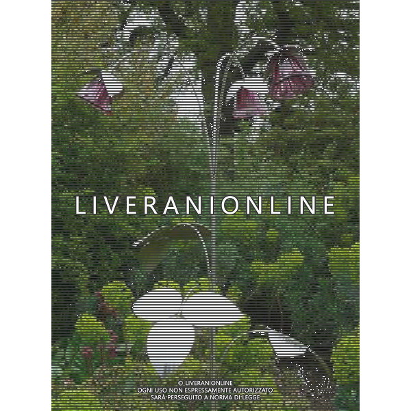 Trio in Red by Ian Marlow - Art In The Garden 2013 at The Sir Harold Hillier Gardens Romsey Hampshire England ©Photoshot/Ag. Aldo Liverani s.a.s.-Only Italy-Editorial Use Only