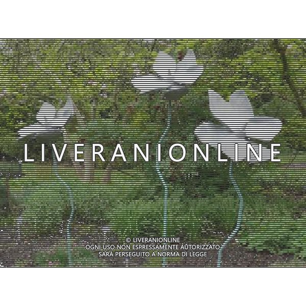 Steele Magnolias by Maggie Butler - Art In The Garden 2013 at The Sir Harold Hillier Gardens Romsey Hampshire England ©Photoshot/Ag. Aldo Liverani s.a.s.-Only Italy-Editorial Use Only