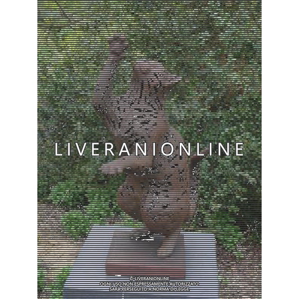 Tabby Cat by Lindon Hamilton - Art In The Garden 2013 at The Sir Harold Hillier Gardens Romsey Hampshire England ©Photoshot/Ag. Aldo Liverani s.a.s.-Only Italy-Editorial Use Only