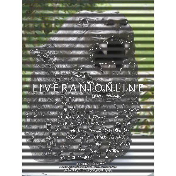 Leo by Carol Bryant - Art In The Garden 2013 at The Sir Harold Hillier Gardens Romsey Hampshire England ©Photoshot/Ag. Aldo Liverani s.a.s.-Only Italy-Editorial Use Only