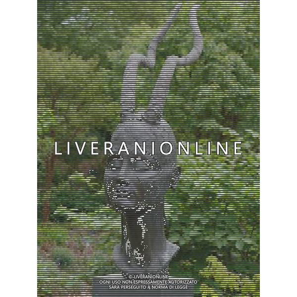 Anukis by Angie Day - Art In The Garden 2013 at The Sir Harold Hillier Gardens Romsey Hampshire England ©Photoshot/Ag. Aldo Liverani s.a.s.-Only Italy-Editorial Use Only