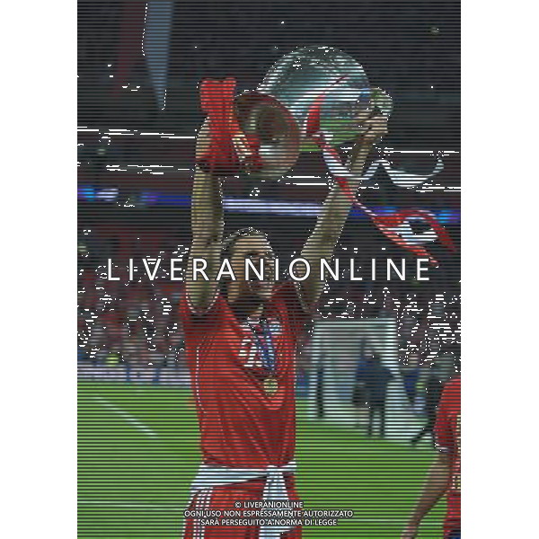 Daniel Van Buyten Celebrates with the European Cup Bayern Munich Champions League Final 2013 Borussia Dortmund V Bayern Munich (1-2) 25/05/13 UEFA Champions League Final 2013 at Wembley Stadium Photo: Robin Parker Fotosports International ©PHOTOSHOT/AGENZIA ALDO LIVERANI SAS - ITALY ONLY - EDITORIAL USE ONLY