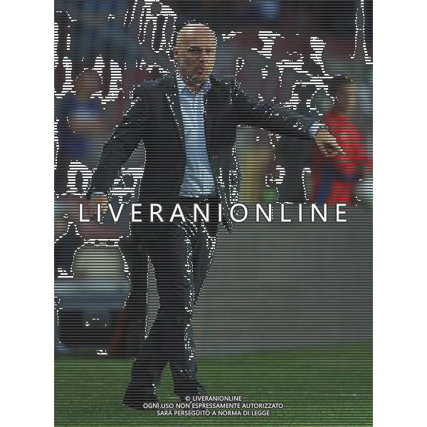 Qualificazioni ai Campionati Mondiali di Calcio Brasile FIFA 2014 Gruppo B Praga - 07.06.2013 Repubblica Ceca-Italia Nella Foto:Bilek Michal /Ph.Vitez-Ag. Aldo Liverani