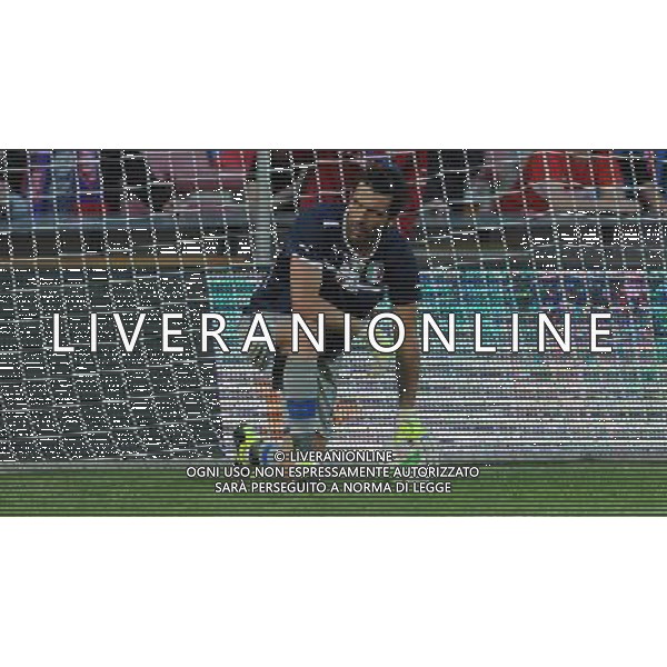 Qualificazioni ai Campionati Mondiali di Calcio Brasile FIFA 2014 Gruppo B Praga - 07.06.2013 Repubblica Ceca-Italia Nella Foto:Buffon Gianluigi /Ph.Vitez-Ag. Aldo Liverani