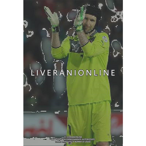 Qualificazioni ai Campionati Mondiali di Calcio Brasile FIFA 2014 Gruppo B Praga - 07.06.2013 Repubblica Ceca-Italia Nella Foto:Cech Petr /Ph.Vitez-Ag. Aldo Liverani