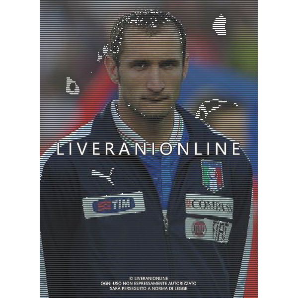 Qualificazioni ai Campionati Mondiali di Calcio Brasile FIFA 2014 Gruppo B Praga - 07.06.2013 Repubblica Ceca-Italia Nella Foto:Chiellini Giorgio /Ph.Vitez-Ag. Aldo Liverani