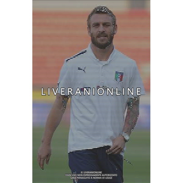 Qualificazioni ai Campionati Mondiali di Calcio Brasile FIFA 2014 Gruppo B Praga - 07.06.2013 Repubblica Ceca-Italia Nella Foto:De Rossi Daniele /Ph.Vitez-Ag. Aldo Liverani