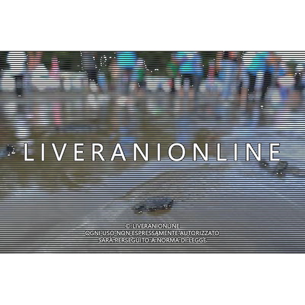 (130607) -- WEST SUMATRA, June 7, 2013 () -- A baby sea turtle swims in the sea at Air Manis beach in West Sumatra, Indonesia, June 7, 2013. (/Veri Sanovri)(zhf) /Ag. Aldo Liverani s.a.s.-Only Italy-Editorial Use Only