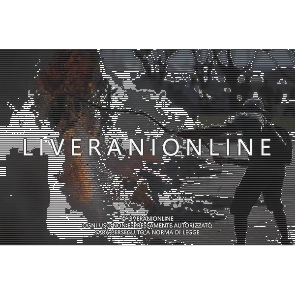 (130615) -- BRASILIA, June 15, 2013 () -- A man attends a protest in front of the Mane Garrincha National Stadium, in Brasilia, Brazil, on June 14, 2013. The 2013 FIFA Confederations Cup will be held from June 15 to June 30, 2013. (/Guillermo Arias) (py) ©photoshot/AGENZIA ALDO LIVERANI SAS - ITALY ONLY - Manifestazioni e preparativi per l\'apertura della Confederations Cup di calcio Brasile 2013 in Brasile 14 giugno 2013. La FIFA Confederations Cup si terra\' dal 15 al 30 giugno 