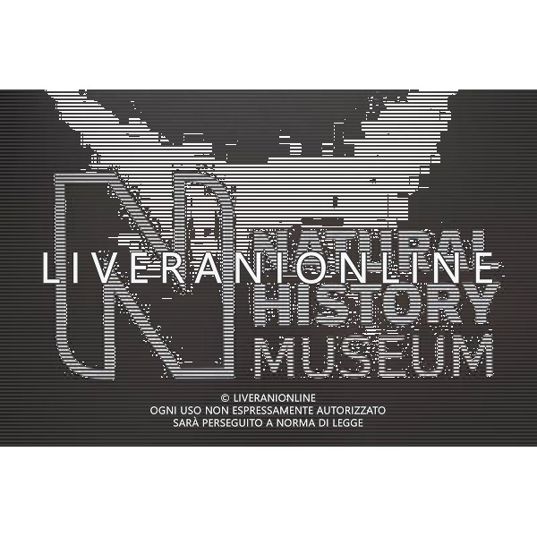 A Sign for The Natural History Museum, London, England AG ALDO LIVERANI SAS ONLY ITALY