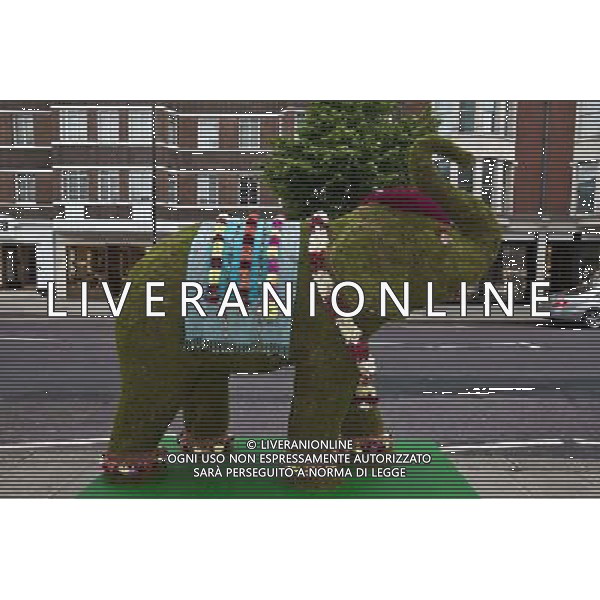 Green Elephant, Knightsbrige, London, England AG ALDO LIVERANI SAS ONLY ITALY